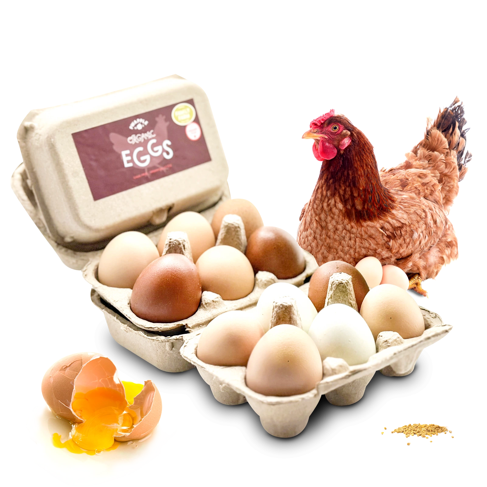 Farm Fresh Free-Range Eggs