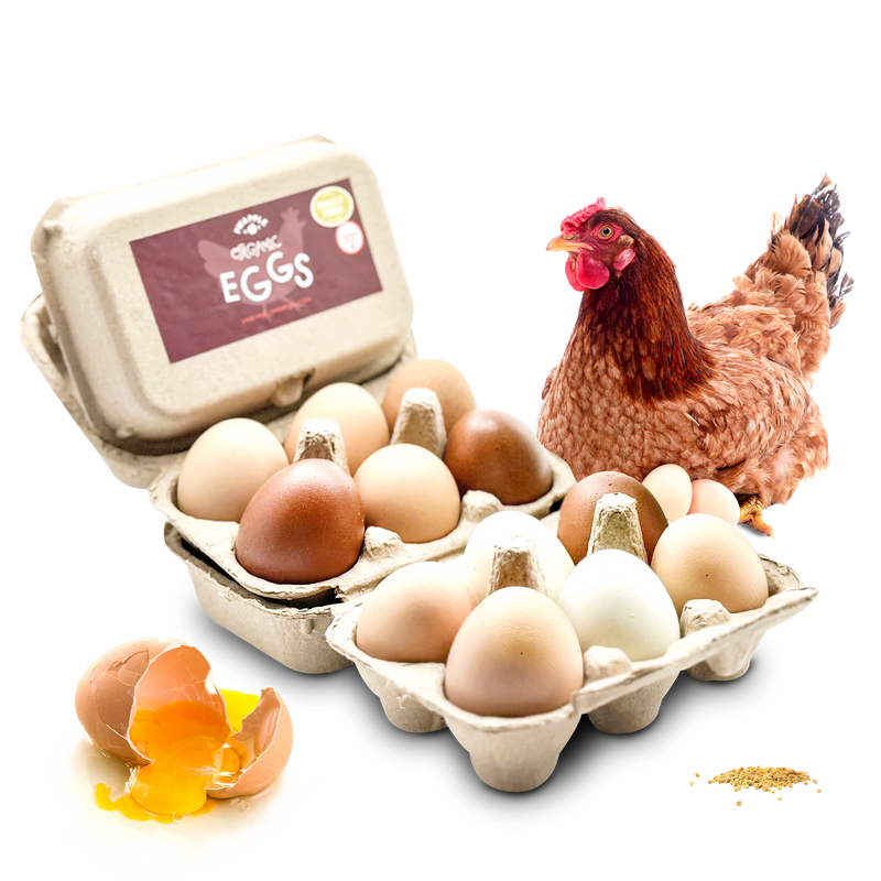 Farm Fresh Free-Range Eggs