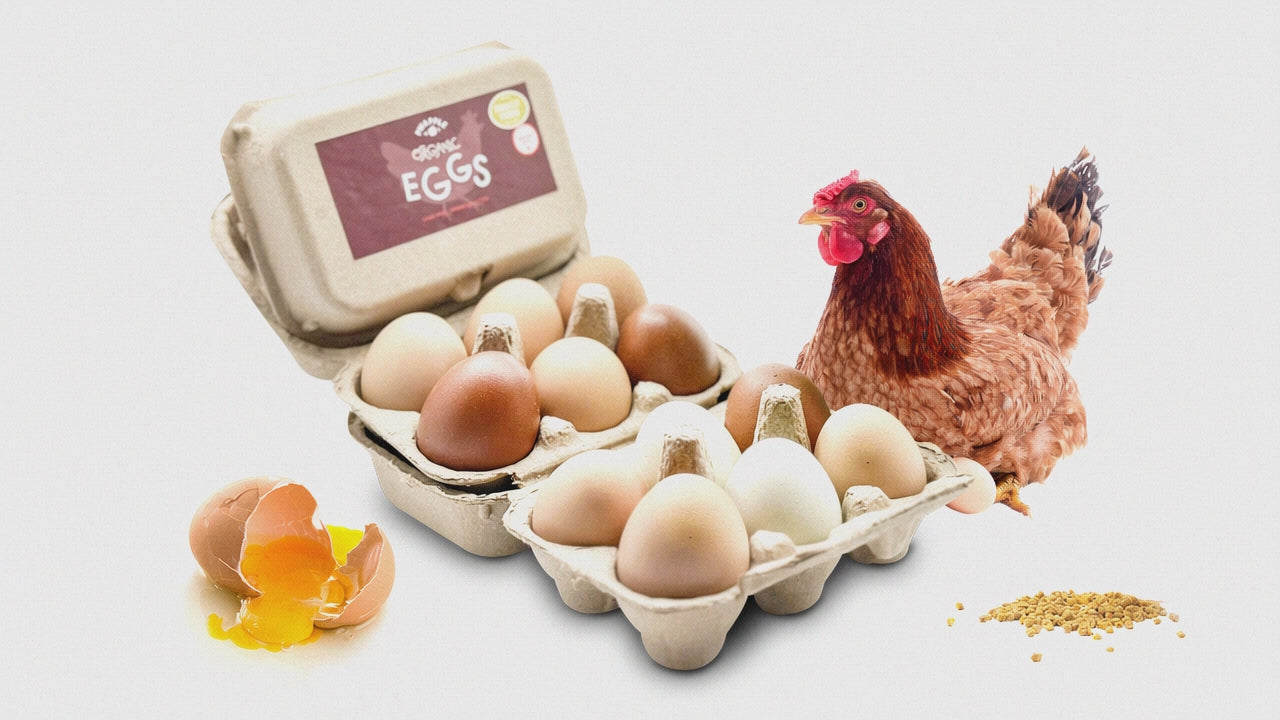 Farm Fresh Free-Range Eggs